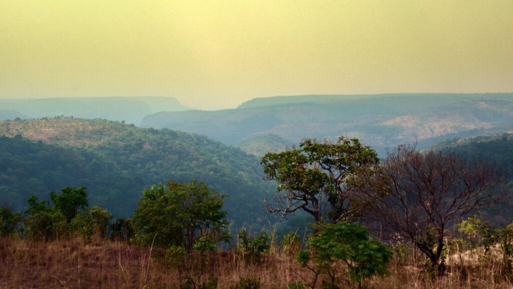 Rick viveu até os 10 anos em uma área rural próxima a Monte do Carmo, no Tocantins.