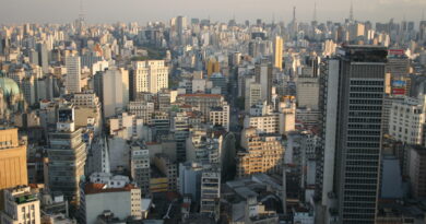 Sociedade Brasileira de Imunizações