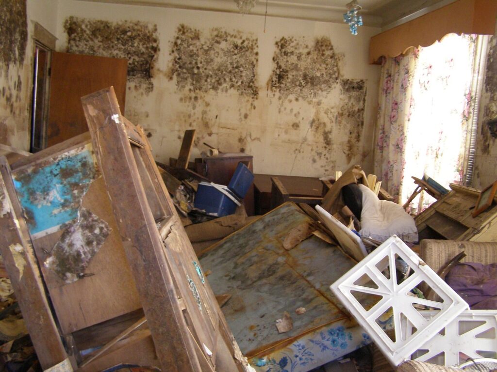 Como remover o mofo da parede antes de pintar