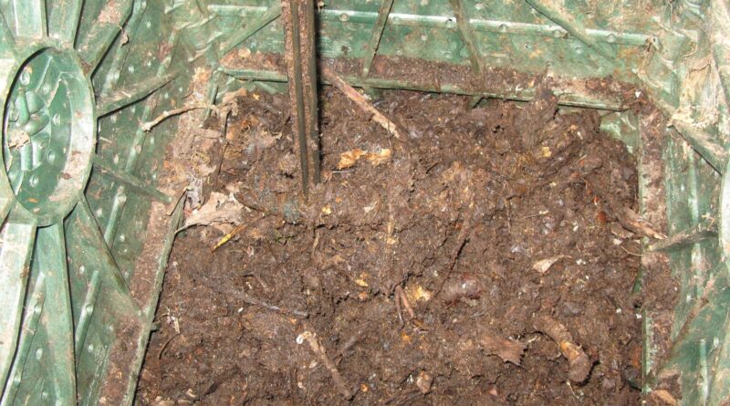 Compostagem doméstica aproveita restos de cozinha e ajuda no cultivo