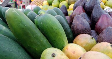 Estudo associa flavonóis de frutas a benefícios para a saúde do coração