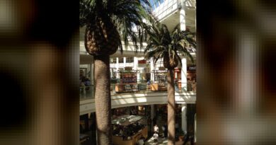 South Bay Galleria