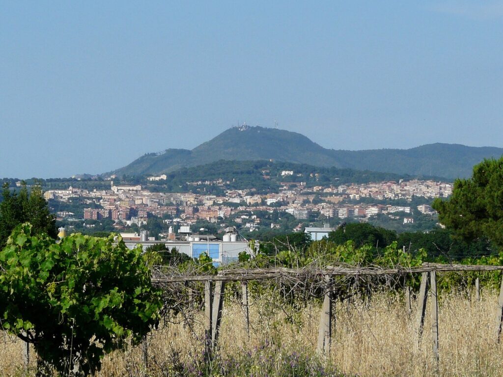 Albano Laziale