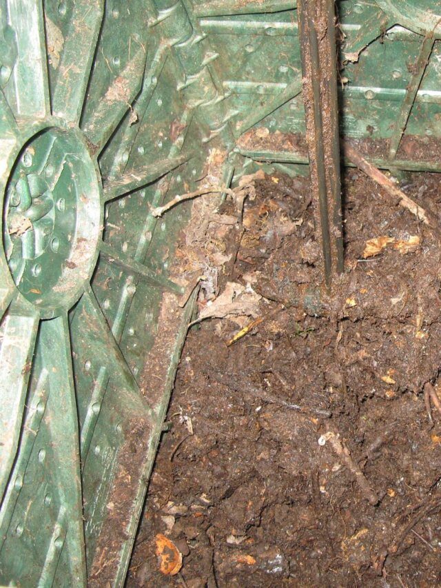 Compostagem doméstica aproveita restos de cozinha e ajuda no cultivo
