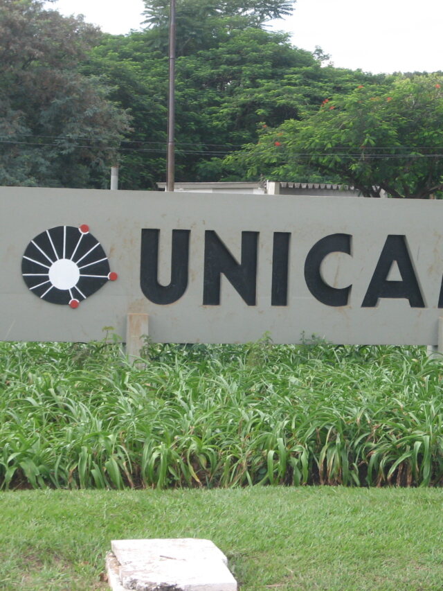 Prova de matemática da Unicamp cobra raciocínio e leitura além de fórmulas